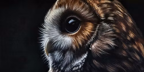 Anniversary Art Exhibition - Hawk Conservancy Trust!