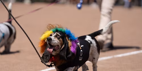 Hometown Days Pet Palooza