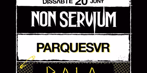 Non Servium