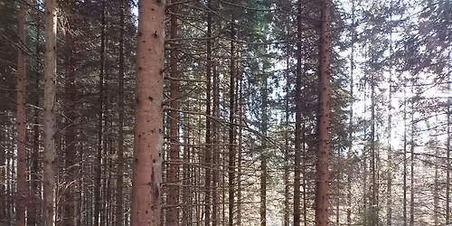 Gong Relaxation - Horsforth