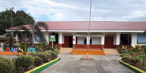 Binalbagan Epementary School Alumni Homecoming