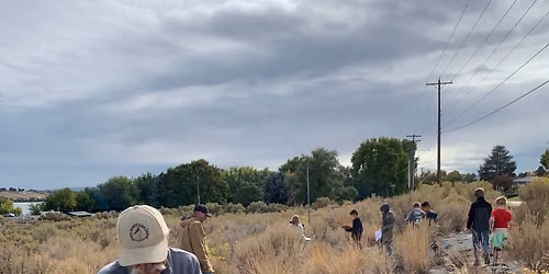 Volunteer - Leslie Groves North Restoration Project