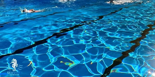\ud83d\udca6Pool Opening\ud83d\udca6