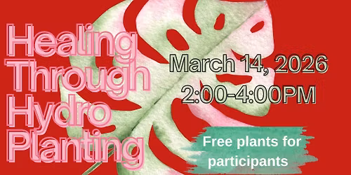 Holistic Healing \u201cHydro Planting\u201d