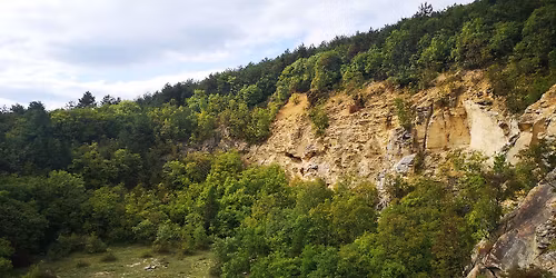 Kiscelli K\u00e1lv\u00e1ria - H\u00fasv\u00e9t h\u00e9tf\u0151n