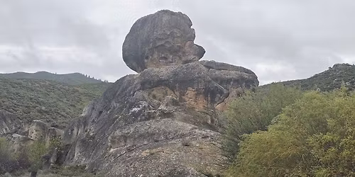 Kingdom Connections Collective