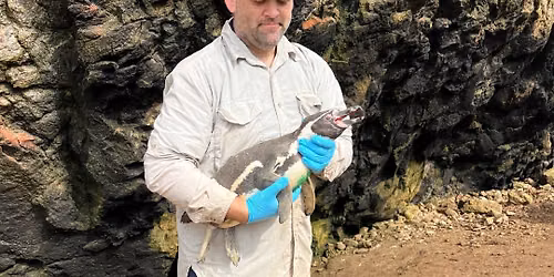 Stories from a Wildlife Veterinarian: From Oak Ridge to Peru and from Box Turtles to Penguins