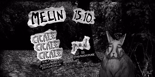 Jazzy etno punk rock ve\u010der uz: Cicale Cicale Cicale i pod