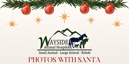 Pet Photos with Santa