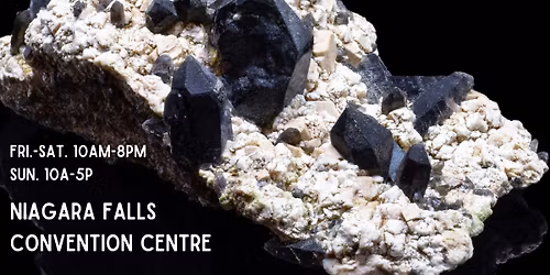 Niagara Falls Rock N' Gem Show
