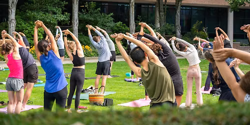 Bend & Flow Yoga