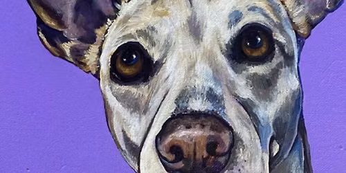 Greenhouse Painting Night: Paint Your Pet @ Graf's Garden Shop