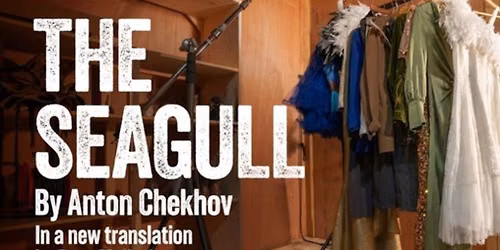 The Seagull