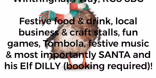 The Mad Duck Christmas Fayre