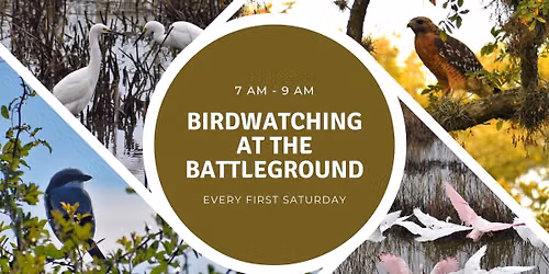 Birdwatching at the Battleground