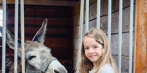 November Pints & Ponies