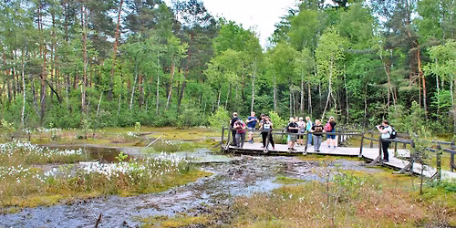 Bagna Celestynowskie, serialowe Wilkowyje i jod\u0142owy rezerwat Jata #3