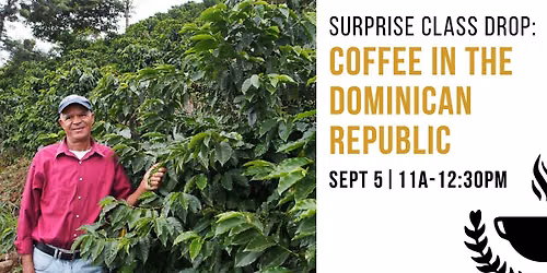 Coffee in the Dominican Republic