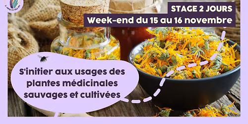Stage 2 jours : S'initier aux usages des plantes m\u00e9dicinales sauvages et cultiv\u00e9es