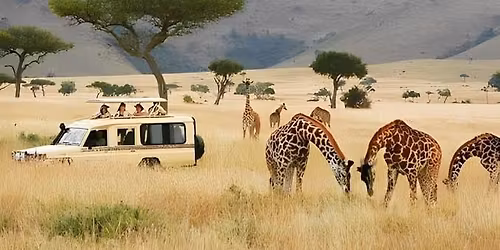 CHRISTMAS JUNGELS MASAI MARA!