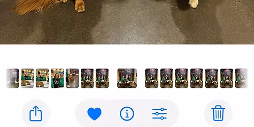 12th Annual Pets with Santa