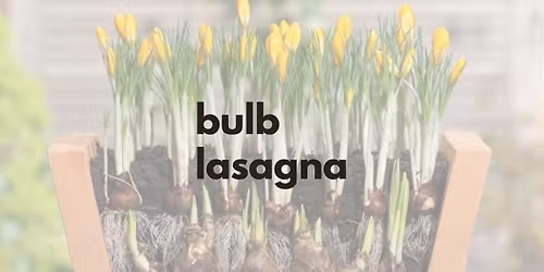 Bulb Lasagna Workshop