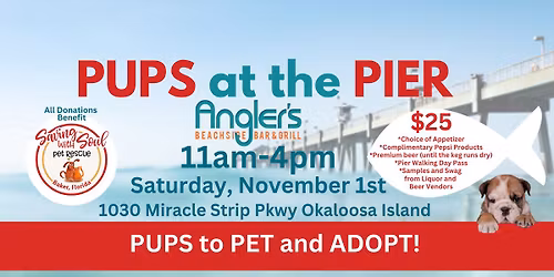 \u2728\ud83d\udc3ePups at the Pier on Okaloosa Island!\ud83d\udc3e\u2728