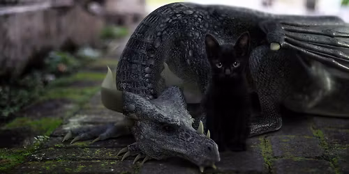 Family Movie Afternoon