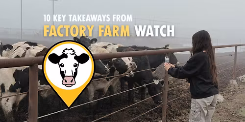Meetup: 10 Key Takeaways from Factory Farm Watch