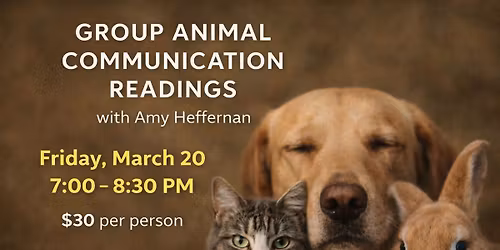 Group Animal Communication Readings With Amy Heffernan
