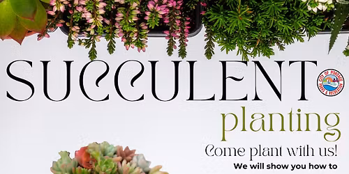 Succulent Planting Class