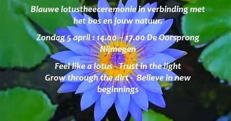 Blauwe lotustheeceremonie in verbinding met het bos en jouw natuur.