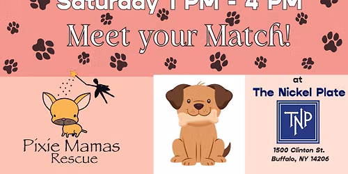 Pixie Mamas Rescue at The Nickel Plate