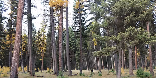 MFCN 10th Annual Workshop "Adapting Collaboration to a Changing Federal Landscape"