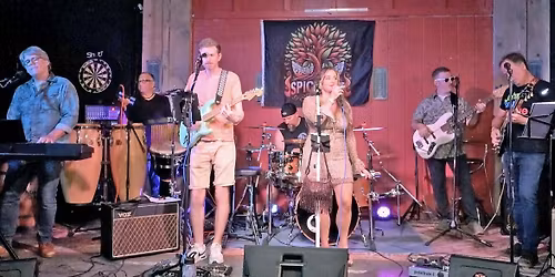 Spice Tree band performing classic and contemporary rock covers with world rhythms.