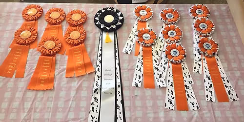 AKC Coursing Ability Trials (CABT) sponsored by GPDC