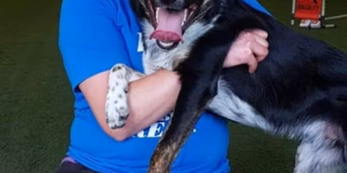 FULLT: Hoopers-kurs i mars: nybegynner og lett \u00f8vet!