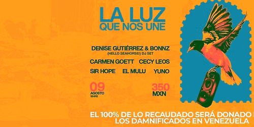 LA LUZ QUE NOS UNE