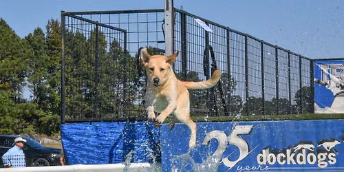 DockDogs\u00ae at Dog Days of Summer | Traverse City