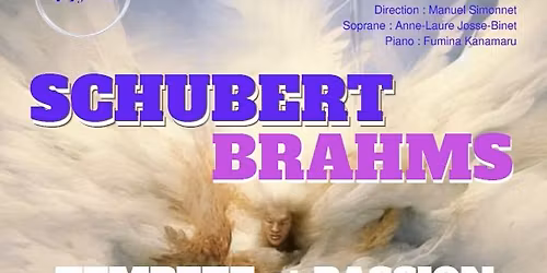 SCHUBERT - BRAHMS - Temp\u00eate et passion