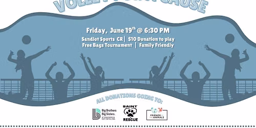 Volley for a Cause Madhatter
