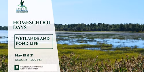 May 19th Homeschool Days: Wetlands and Pond Life