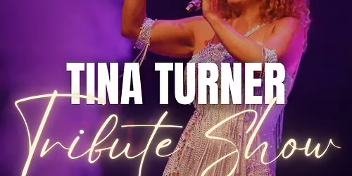 Queen of Rock n Roll A Tina Turner Tribute