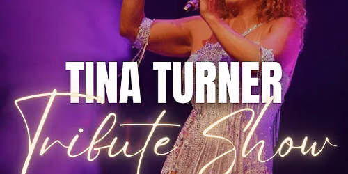 Queen of Rock n Roll A Tina Turner Tribute