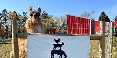 Wild Pyle Acres Spring Open Farm Event