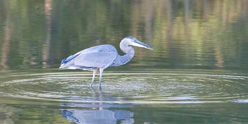 November EcoTalk: Wetland Monitoring