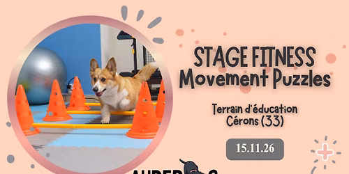 Stage canin : Fitness et movement puzzles