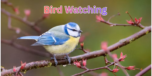Bird Watching Walk Nature Program