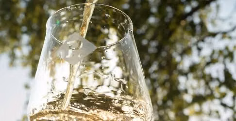 Sip & Stroll Fall Color