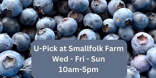 Blueberry U-Pick Opening Day